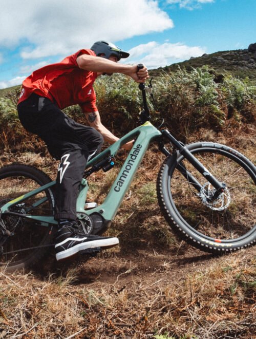 Beyond the Bubble: Total Bogotá