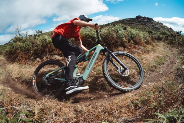 Beyond the Bubble: Total Bogotá