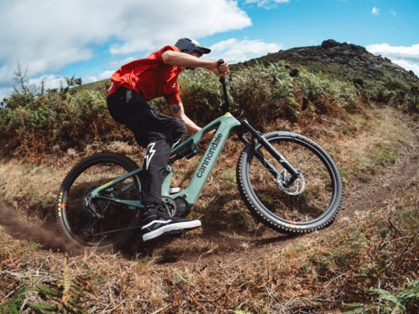 Beyond the Bubble: Total Bogotá