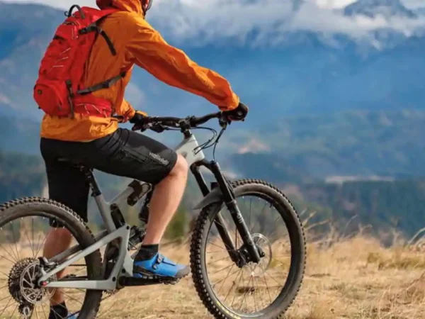 The Cloud Forest Flow