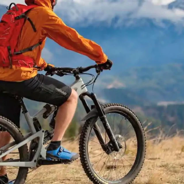 The Cloud Forest Flow