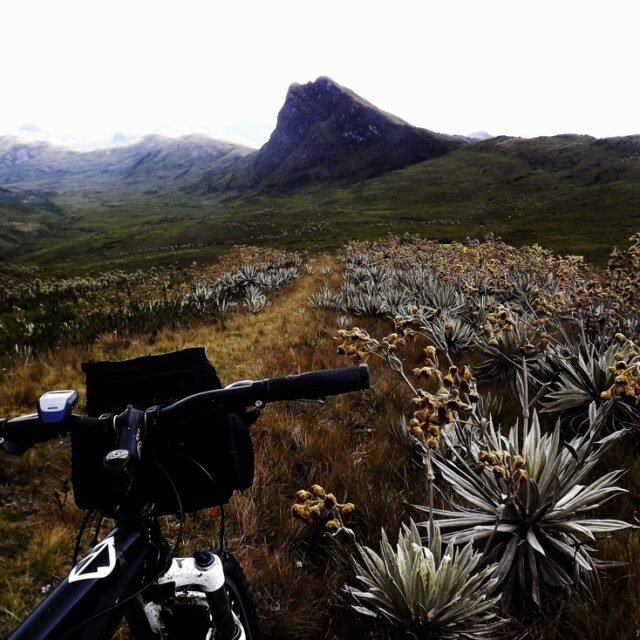 The Ghost & The Garden: Ruins and Paramos